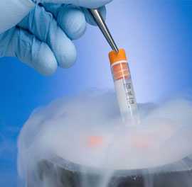 太原最好的代孕,三代试管养囊成功比例的关键点！-移植冻胚2个成功率-上海供