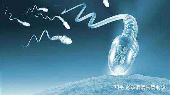 太原朝阳医院取卵后多久短信通知胚胎停止培育？